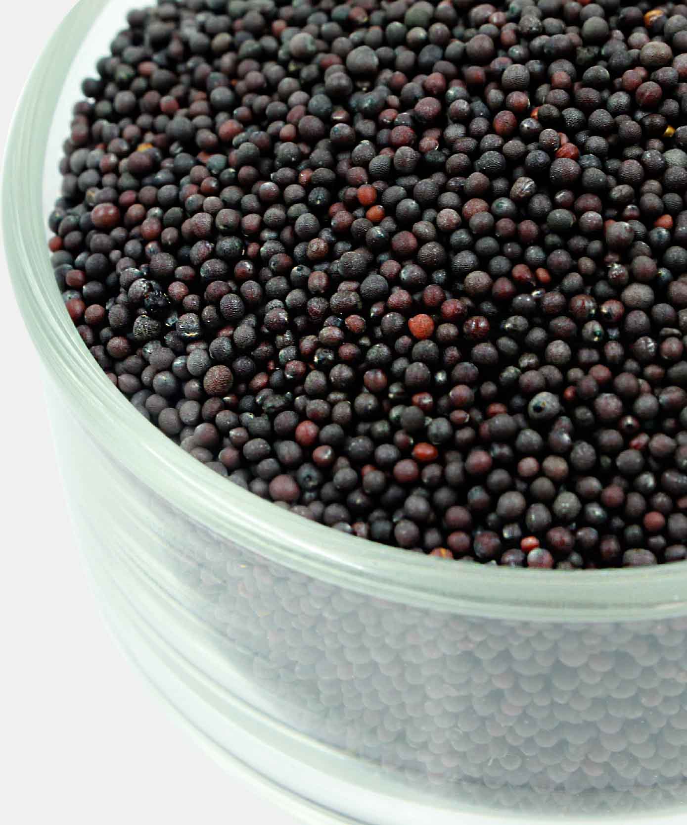 Rai Whole Small 100 Gm - Image 3